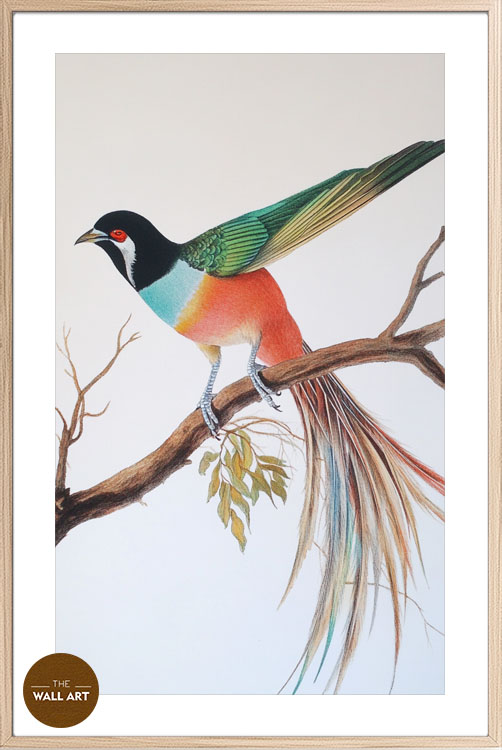 images/products/raindow_long_tail_bird/RAINDOW_LONG TAIL BIRD_OAK_PWB.jpg